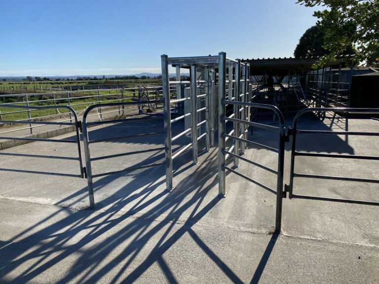 Willow Creek Engineering Cattle Races And Dairy Shed Engineering Services (11)