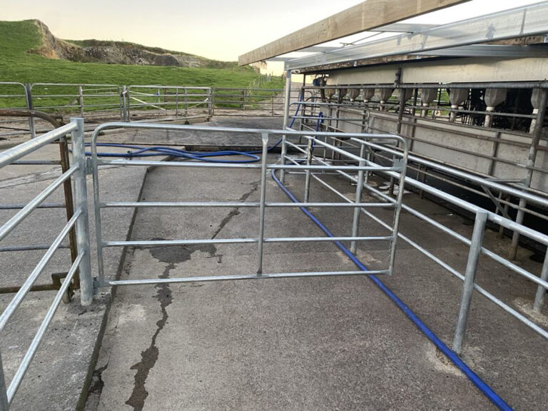 Willow Creek Engineering Cattle Races And Dairy Shed Engineering Services (15)