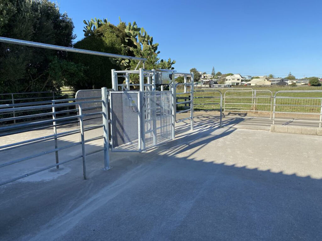 Willow Creek Engineering Cattle Races And Dairy Shed Engineering Services (20)