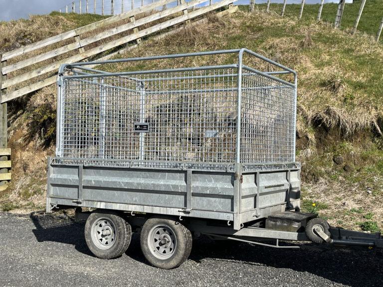 Willow Creek Engineering Custom Trailer Cages (1)